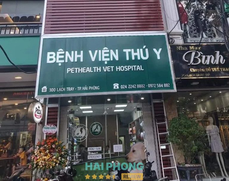 Phòng khám thú y PetHealth Hải Phòng