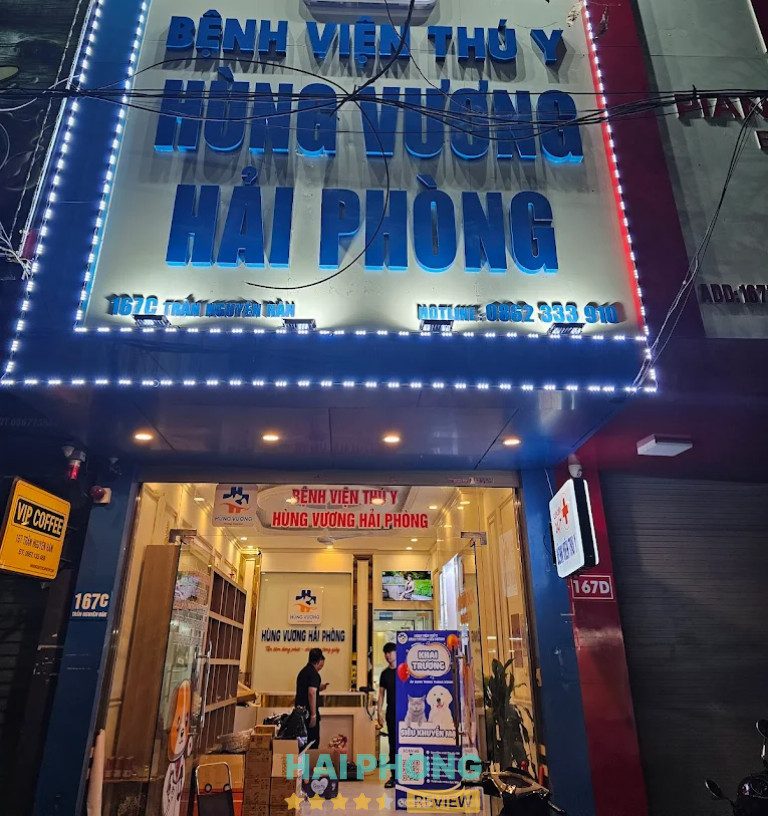 Bệnh Viện Thú Y Hùng Vương - Phòng khám thú y ở Hải Phòng uy tín