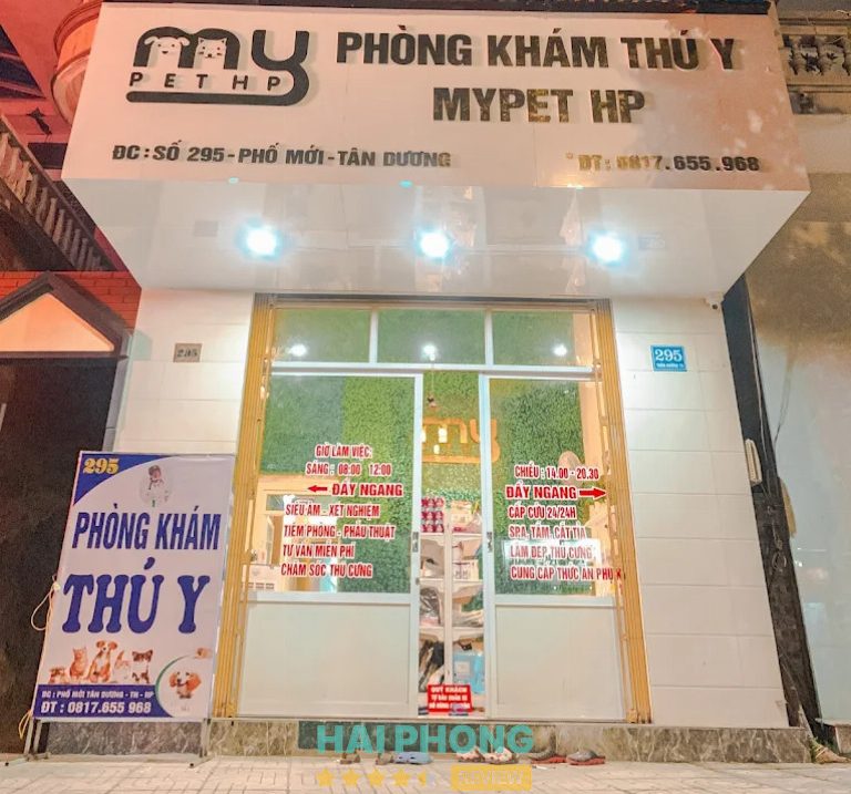Phòng khám thú y ở Hải Phòng Mypet