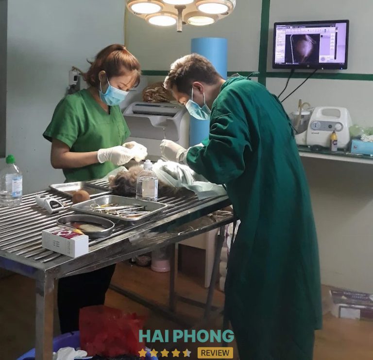 Phòng khám thú y ở Hải Phòng SAOvet