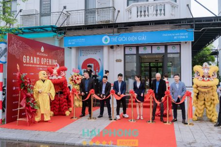 Bài đánh giá về Thế Giới Điện Giải, Hải Phòng