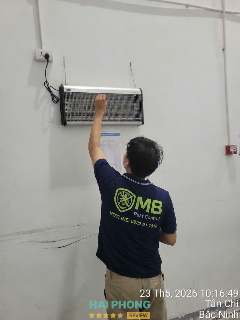 MB Pest Control diệt côn trùng Hải Phòng