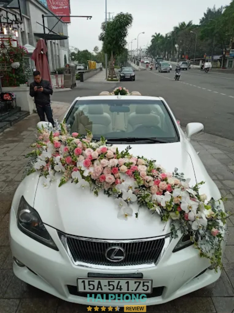 Tường Vi Flower - Hoa Hải Phòng hình ảnh 3